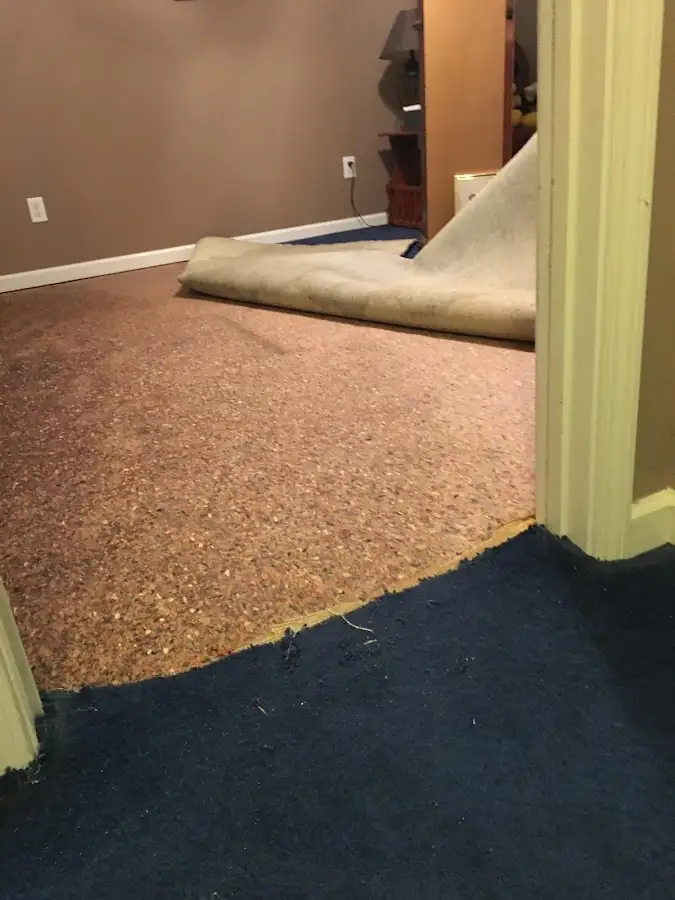 Carpet pad removal revealing water damage during Drying & Dehumidification in Palmyra
