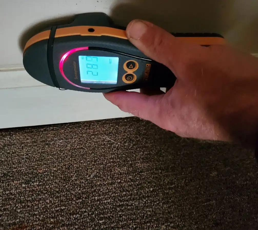 Moisture detection at baseboard during Mold Inspection & Testing in Palmyra